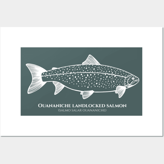 Landlocked Salmon with Common and Scientific Name - fish design Wall Art by Green Paladin